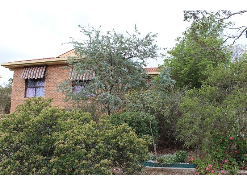 34 Brolga Way, Tamworth NSW 2340