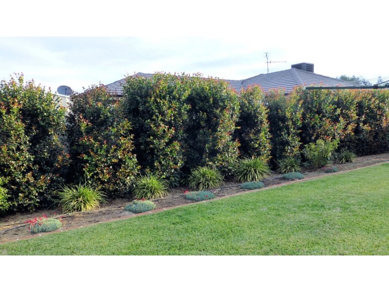 14 Kalinda Place, Tamworth NSW 2340