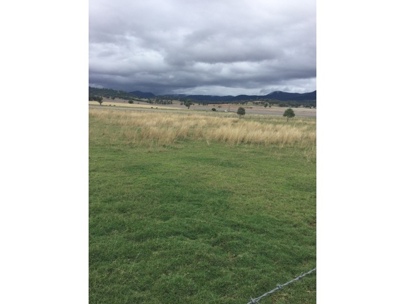 29 Davidsons Lane, Moore Creek NSW 2340