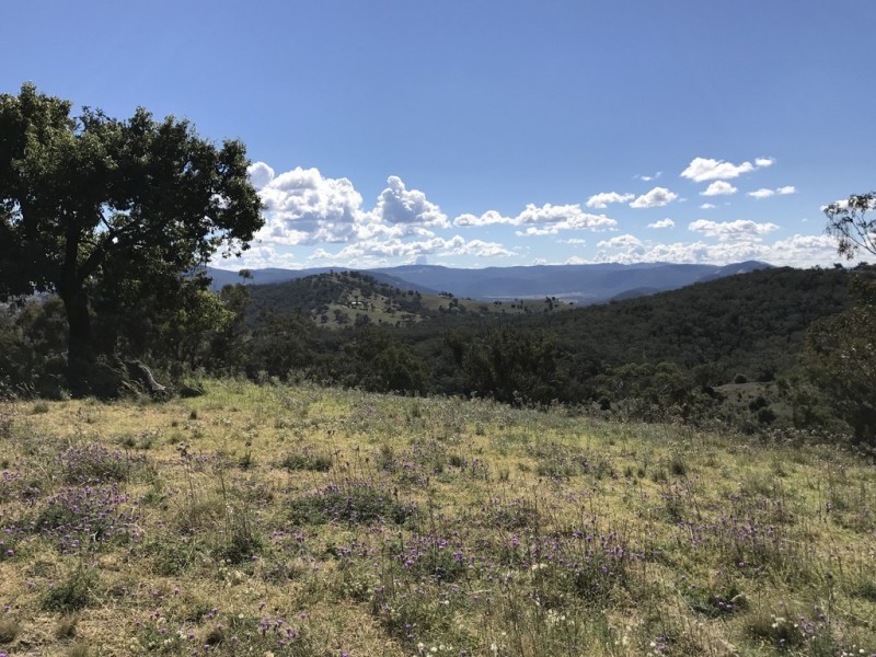 “Dave’s Hill” Lot 13 Daruka Road, Tamworth NSW 2340