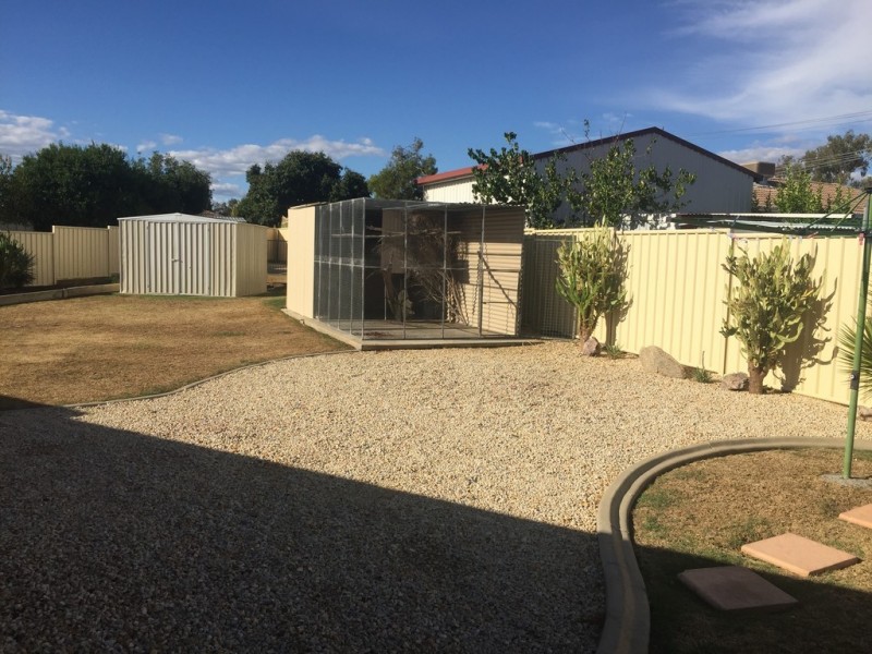 20 Dewhurst Street, Tamworth NSW 2340