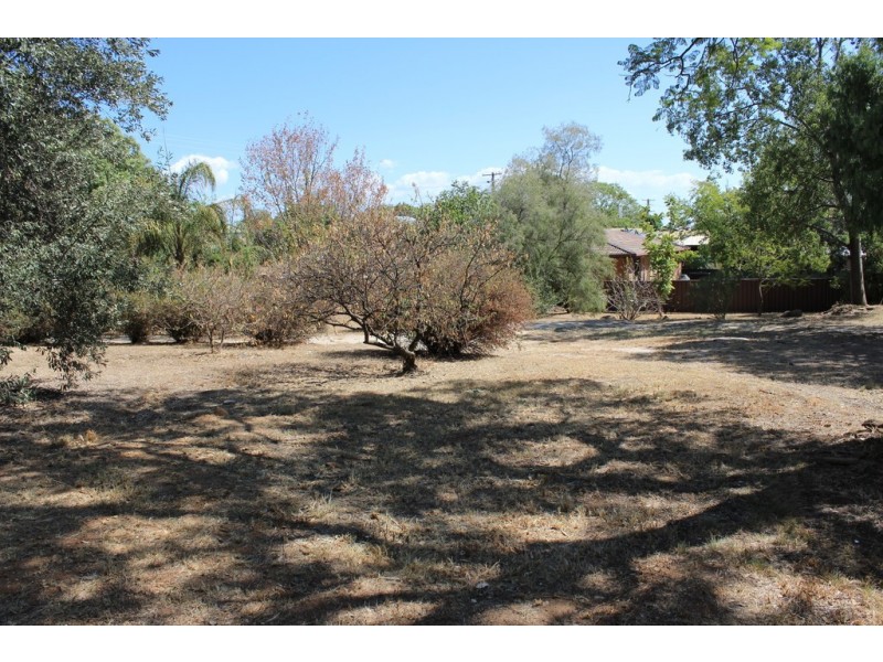 83 Calala Lane, Tamworth NSW 2340