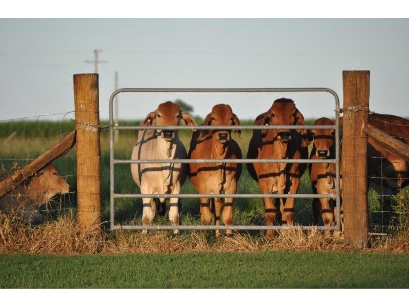 1 Pappins Road, Helens Hill QLD 4850