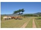 1 Pappins Road, Helens Hill QLD 4850