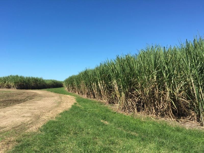 60 Taylors Beach Road, Taylors Beach QLD 4850