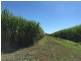 60 Taylors Beach Road, Taylors Beach QLD 4850