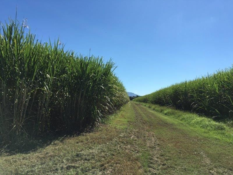 60 Taylors Beach Road, Taylors Beach QLD 4850