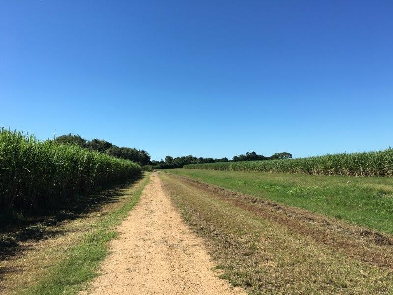 60 Taylors Beach Road, Taylors Beach QLD 4850