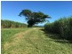 60 Taylors Beach Road, Taylors Beach QLD 4850