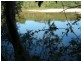 Hawkins Creek QLD 4850