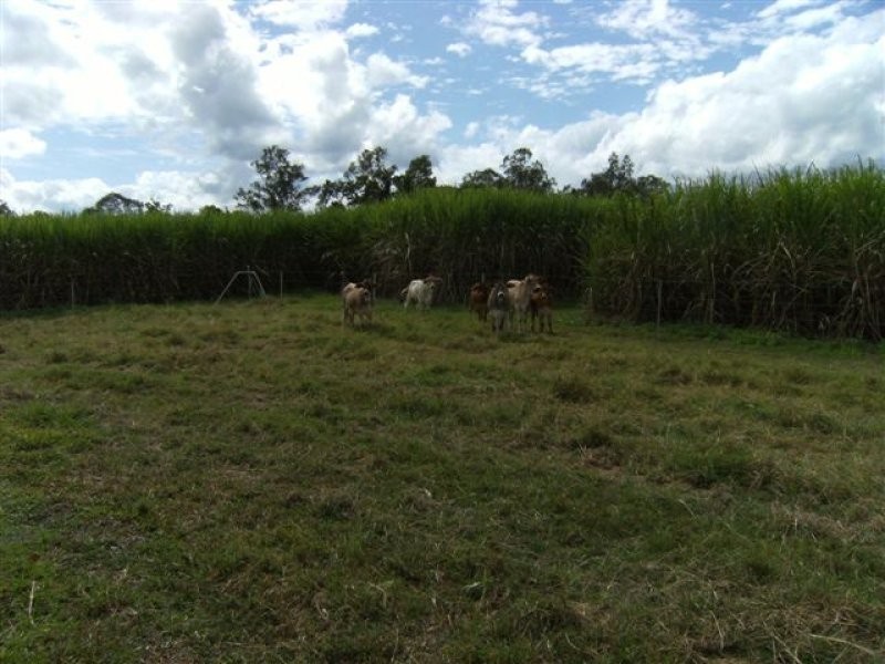 Hawkins Creek QLD 4850