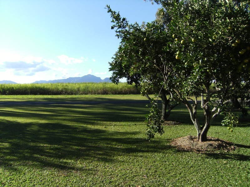 17 Mambrini Street, Halifax QLD 4850