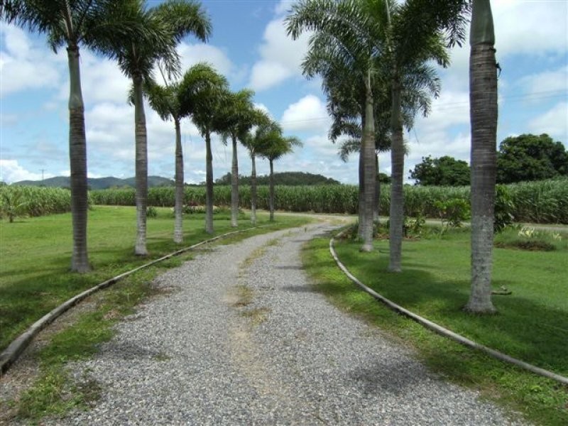 106 Neames Inlet Road, Macknade QLD 4850