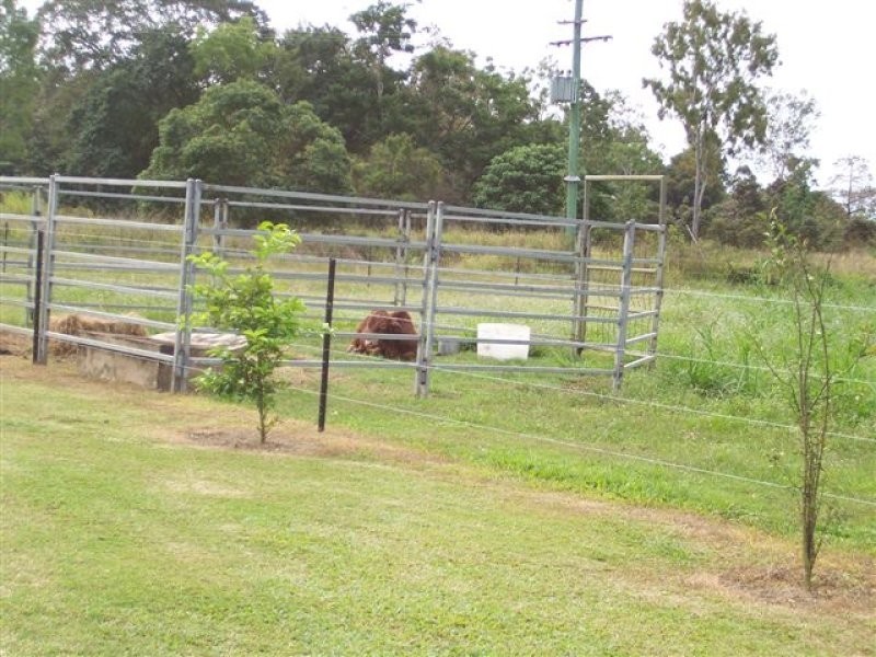 12 FORTINIS ROAD, Ingham QLD 4850