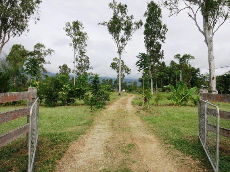 653 Ellerbeck Road, Cardwell QLD 4849