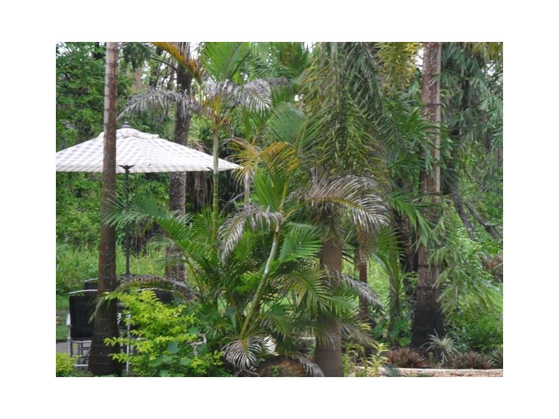 8 Macadamia Street, Forrest Beach QLD 4850