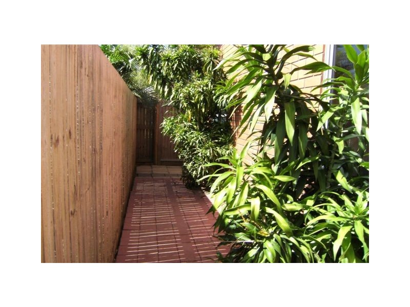 21 barramundi Street, Taylors Beach QLD 4850