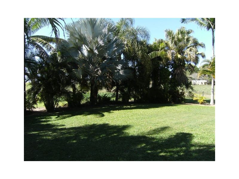 944 Hawkins Creek Road, Hawkins Creek QLD 4850