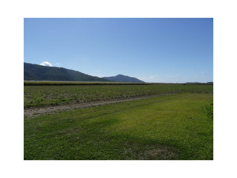 944 Hawkins Creek Road, Hawkins Creek QLD 4850