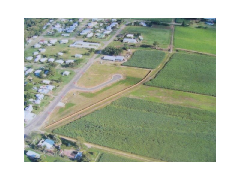 8  Hinchinbrook Court, Halifax QLD 4850