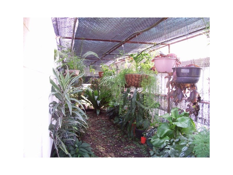 10  MacDonald St, Ingham QLD 4850