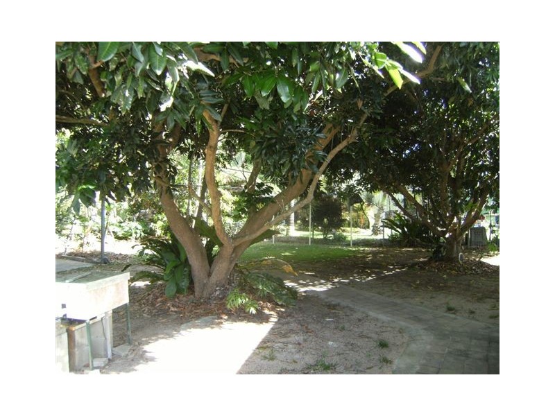 135 John Dory Street, Taylors Beach QLD 4850