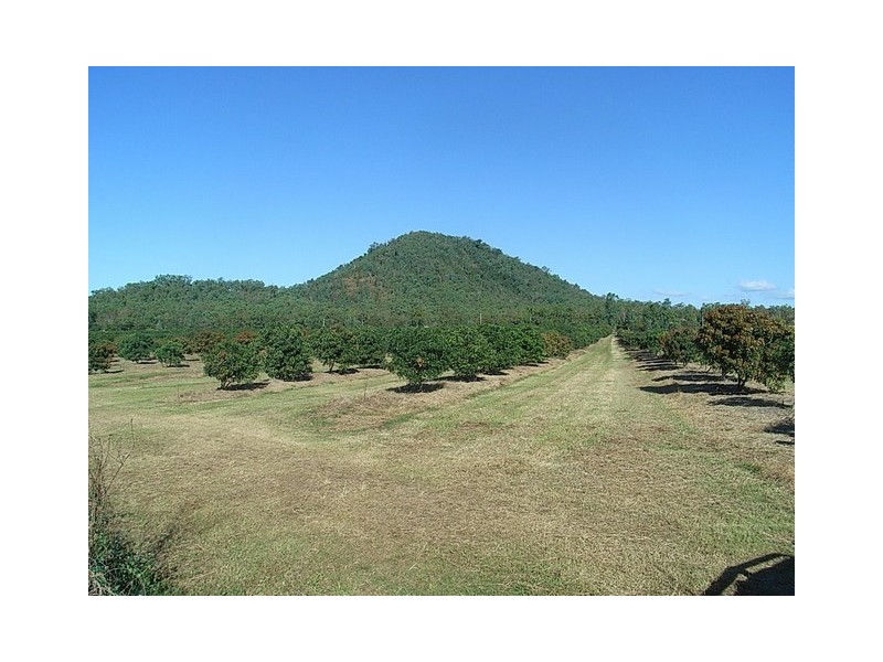 161 Helens Hill Rd, Helens Hill QLD 4850