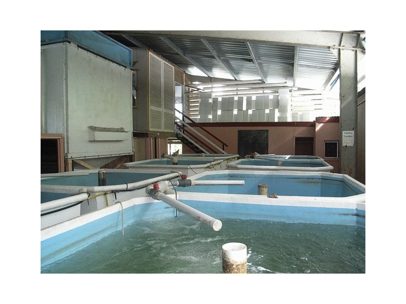 51 Mt Cudmore Rd, Bemerside QLD 4850