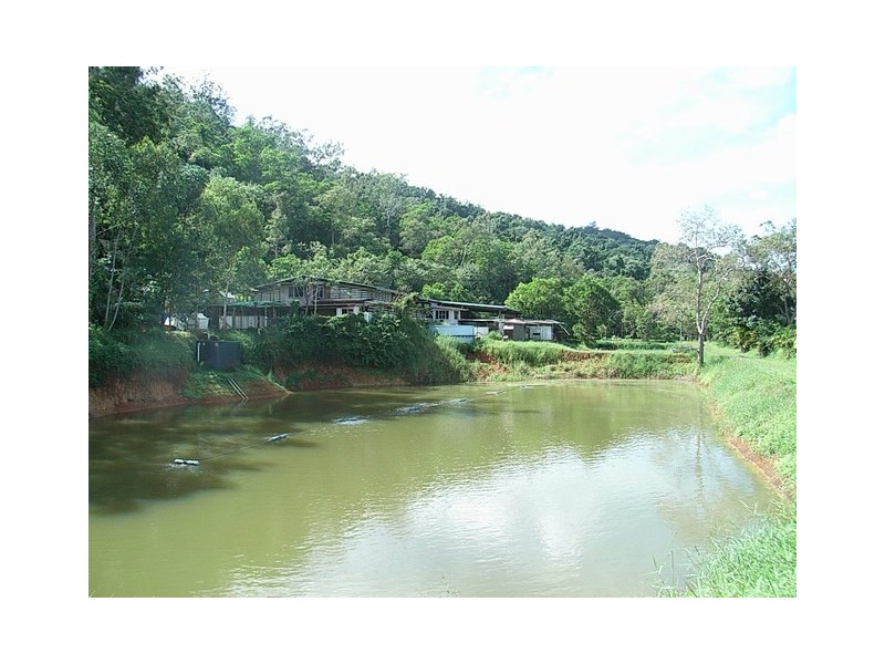 51 Mt Cudmore Rd, Bemerside QLD 4850