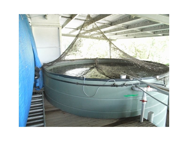 51 Mt Cudmore Rd, Bemerside QLD 4850