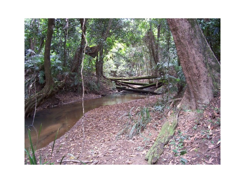 L106 Copley’s Rd, Abergowrie QLD 4850