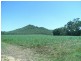 Lt 49 Pettits Rd, Upper Stone QLD 4850