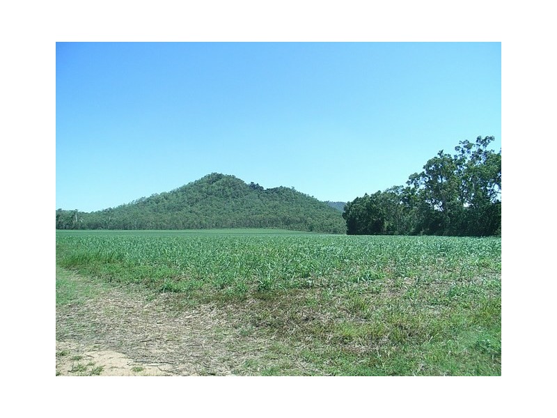 Lt 49 Pettits Rd, Upper Stone QLD 4850