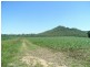 Lt 49 Pettits Rd, Upper Stone QLD 4850