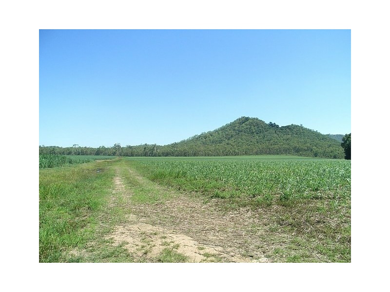 Lt 49 Pettits Rd, Upper Stone QLD 4850