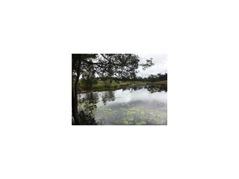 1625 Mount Fox Road, Mount Fox QLD 4850