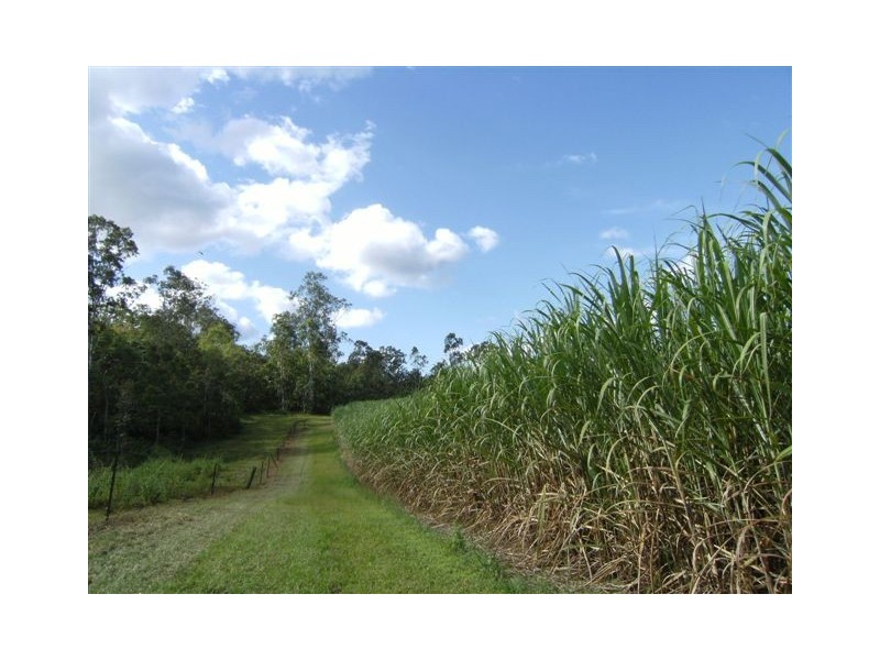 Long Pocket QLD 4850