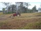 L26 Crater Rd, Mount Fox QLD 4850