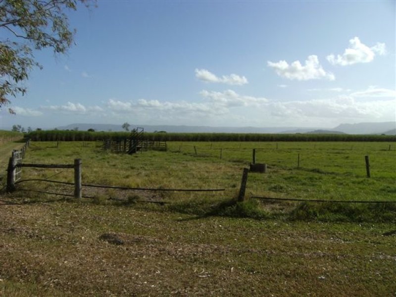 1957 ABERGOWRIE ROAD, Ingham QLD 4850