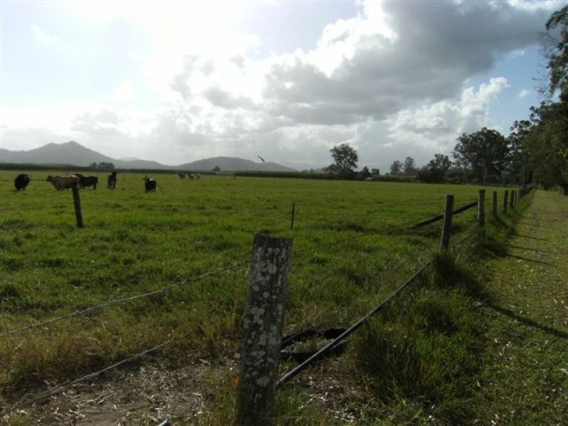 1957 ABERGOWRIE ROAD, Ingham QLD 4850