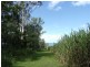1 Sheahans Road, Long Pocket QLD 4850