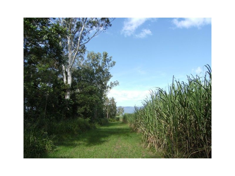 1 Sheahans Road, Long Pocket QLD 4850