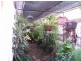 10 MacDonald St, Ingham QLD 4850