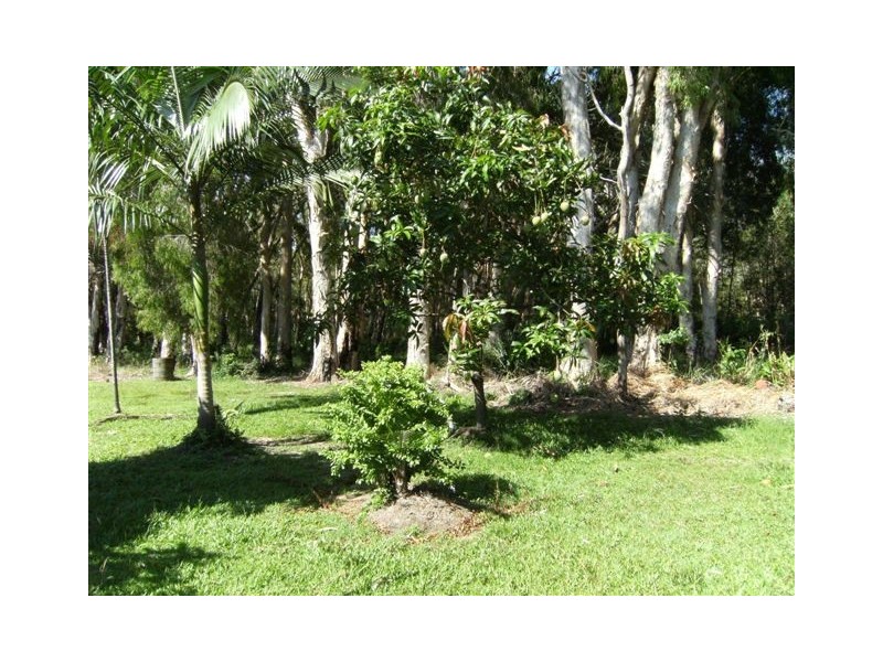 125 John Dory, Taylors Beach QLD 4850