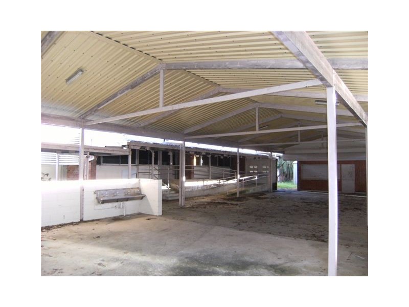 49 Cassady Street, Ingham QLD 4850