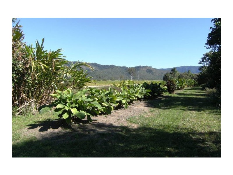 5236 Abergowrie Road, Abergowrie QLD 4850