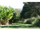 5236 Abergowrie Road, Abergowrie QLD 4850