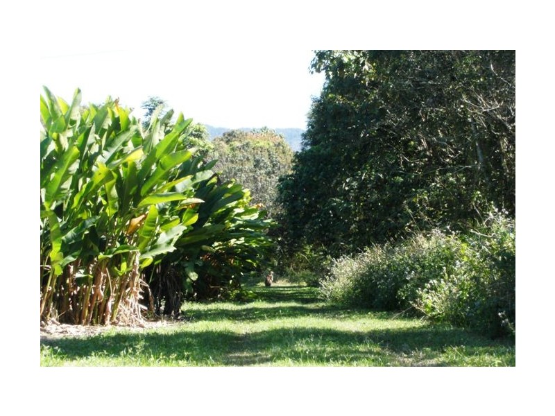 5236 Abergowrie Road, Abergowrie QLD 4850