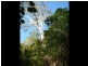 . Hawkins Creek, Hawkins Creek QLD 4850