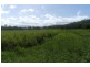Lannercost QLD 4850